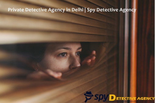 Private Private Detective Agency in Delhi