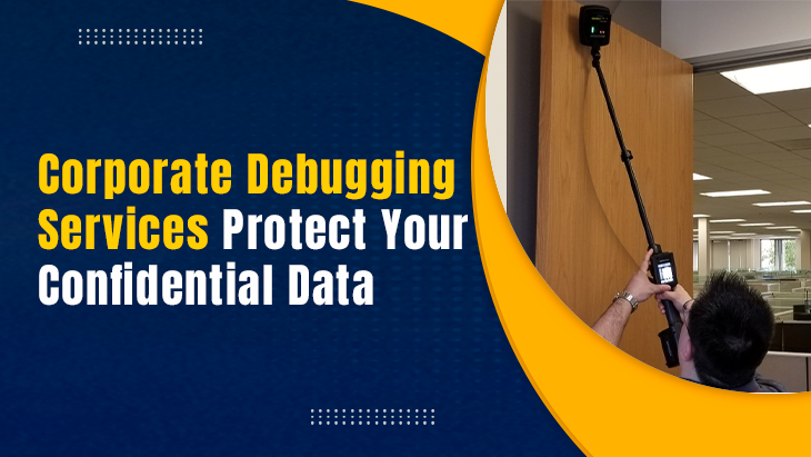 Corporate Debugging Services