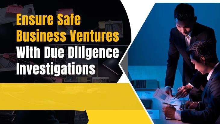 Due Diligence Investigations