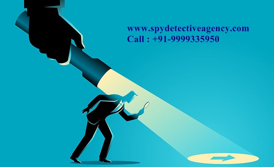 Detective agency for Corporate Investigations