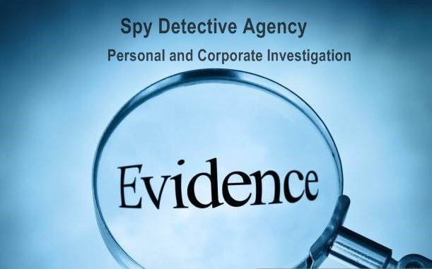 What type of investigation Spy Detective Agency can do
